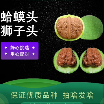 延庆蛤蟆头核桃-延庆蛤蟆头核桃促销价格、延庆蛤蟆头核桃品牌- 淘宝