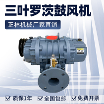 Zhenglin ZLS-65WB three-leaf Roots blower aerator aerator aquaculture high-power sewage treatment aerator