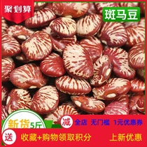 Yunnan zebra beans big waist beans 5 pounds of farm-produced flower kidney beans Emperor beans kidney beans rice beans lentils purple kidney beans y