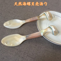 New natural conch shell spoon creative home accessories high-end hotel club restaurant supplies shell spoon