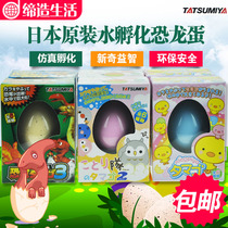 Japanese bubble water hatching dinosaur eggs chicken duck Bird deformation Magic Egg kindergarten puzzle toy gift blind box