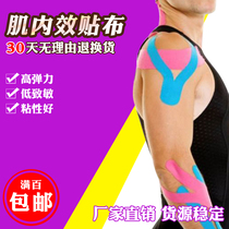 Kinesio tape muscle sticking muscle sticking muscle internal effect patch