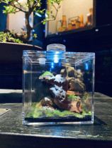 Panoramic organic katasiatz tank is called cage-tied bamboo lacewings cricket oil gourd cricket horse lacewings breeding ecological tank