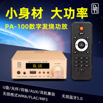 Danish PA100 household Class D digital HiFi Bluetooth coaxial fiber USB decoding high-power imported power amplifier