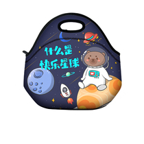  Cute Korean version of waterproof insulation diving fabric lightweight lunch bag bento bag can support customized diy