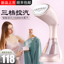 HYUNDAI Handheld Hanging Machine Steam Iron Household Small Portable Ironing Clothes Machine 1500W