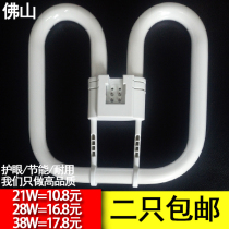 Foshan 2D butterfly tube 21W28W38W Foshan Lighting 2D butterfly tube 4-pin ceiling lamp tube PL-2D