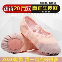 Dance shoes children female soft bottom practice children dance adult male summer cat claw shoes professional girl Ballet