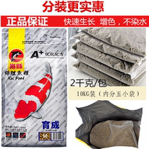 Dolphin koi feed boutique pack 5 kg koi fish food Koi fish food staple food breeding special feed