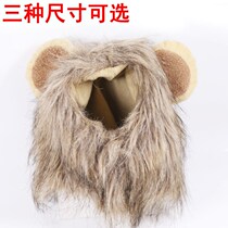 Lion turned into a hat word funny dog hat cat hat pet hat warm autumn and winter Teddy than bear fight