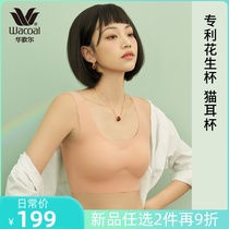 Warsong Wacoal comfort No scratches and thin underwear Peanut Cup Cat Ear Cup Vest Type without steel ring bra