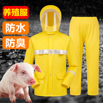 Farm protective clothing anti-odor special work clothes feeding pig clothes pig breeding plant anti-fouling and dirt-resistant breeding isolation