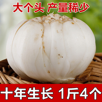 10-year-old Big Head 1kg 4 Lanzhou fresh lily farmhouse edible sulfur-free sweet Lily 500g vacuum packaging