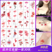 Bana Tattoo Sticker Waterproof female long-lasting sexy clavicle Manzhu Shahua semi-permanent net red pattern tattoo sticker