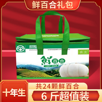 (Ten years of birth one catty 4 large) 2-head Lanzhou Lily fresh gift box gift package gift dry goods non-Lily dry
