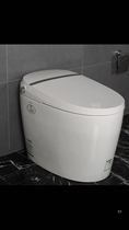 Faenza Farnsa Smart toilet for the first of its kind