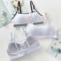 Deduction girl underwear student development Junior High School High School Tube chest sling small vest with chest pad one bra