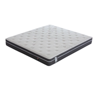 The Festive Door Net Sleeping Mattress M22