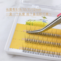 Net red Scarecrow fishtail false eyelashes natural simulation segmented hair 0 07 self-grafting single cluster of eyelashes