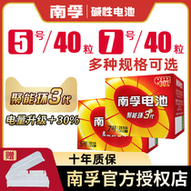 Nanfu Alkaline No. 5 40 Section 5 LR6 childrens toy battery wholesale AA air conditioning TV remote control 40 TV microphone remote control car hanging alarm clock small battery 1 5V