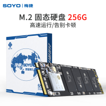 Metesoyo 256GB 1TB Solid State Hard Disk NVME Protocol M 2 Interface Solid State