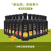 New Shini Juice Concentrate Lemon Orange Red Grapefruit Pineapple Mango Passion Fruit Orange Juice drink Milk tea shop Commercial