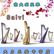 European Salvi Salvi classical harp Musical instrument Luxury exquisite elegant professional orchestra big piano