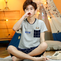 Teen Pajamas Boys Spring and Summer Thin Cotton Short Sleeves New Homewear for Junior High School Students