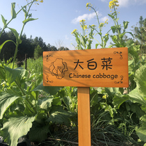Billboard wooden card Kindergarten vegetable garden floor plug-in card Logo card Class card Custom park school solid wood wooden card