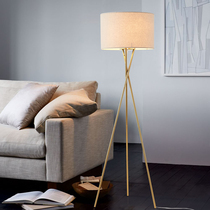 Nordic minimalist modern floor lamp Living room Bedroom Housing bedside sofa Creative remote control tripod vertical table lamp