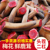 Fresh antler fresh blood sika deer velvet whole branches whole antler brewing wine material long-lasting premium tonic for men lock yang