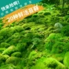 Товары от 大博买卖