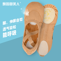 Dancing Fish Beauty ballet soft shoes exercise shoes soft shoes gymnastics shoes body pink cat claw shoes 1030