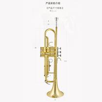 Small musical instrument students beginners specialized in playing paint - gold small instrument playing the trumpet musical piece