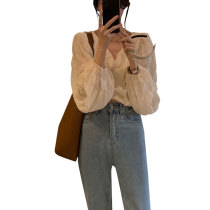 Pregnant women shirt autumn thin summer fashion top 2021 new long sleeve chiffon shirt professional wear v collar
