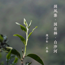 On Puer 2021 spring tea pre-sale Yi Wu Fengzhai State-owned Forest (Reserve) Baisha River Ancient Tree