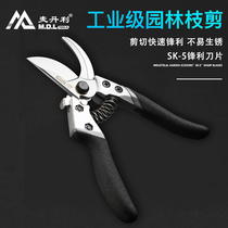 Industrial-grade garden shears horticultural scissors SK5 carbon steel strong spring toughness full belt lock gardener