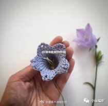 Bell flower illustration crochet illustration crochet DIY wool electronic tutorial Non-finished product without video