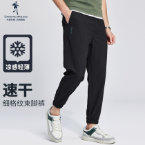 The new elastic tights in summer 2023 - summer - time strength - tight pants with wolves dancing rope and leisure trousers
