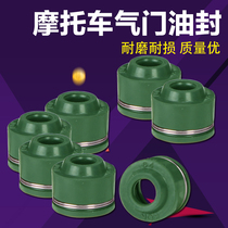 Applicable to Suzuki GSXR250 400 Dahongpao Inzuma bandits 250 bandits 400 stimulation valve oil seal