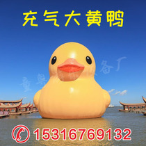 Inflatable big yellow duck attraction event Exhibition water big white goose shaking sound Net Red large cartoon Air model custom manufacturer