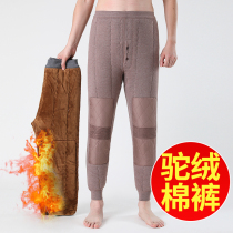 Middle-aged and elderly cotton pants men winter dad plus velvet thick size camel down pants three layers of super thick velvet pants warm pants