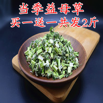 Motherwort New wild motherwort tea foot soak dried motherwort foot soak raw materials