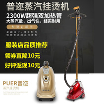 Puyou F-132 steam hanging ironing machine high power powerful steam handheld clothing store household iron