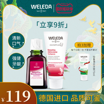 Germany weledda verreed shrub toothpaste mouthwash combination pregnant women original imported gum swelling and pain during pregnancy