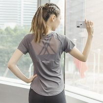 Yoga coat short sleeve professional high-end fashion slim running breathable quick-drying gym large size sports T-shirt