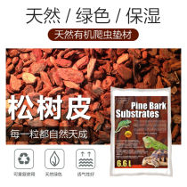 Natural Moisturizing Pine Pines Leather Grain Corner Frog Vigil for the Palace Scape Tortoise Lizard Lizard Reptile Reptile Mat