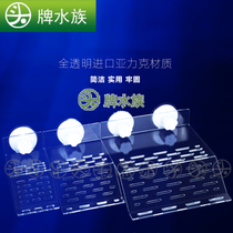 Tortoise Sunback sun light crawling frame floating platform water and land tank water turtle Brazil turtle transparent acrylic turtle climbing frame