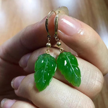 Natural Hetian jasper leaf drop earrings 18K gold inlaid ice apple green boutique ear hook womens gold branches and jade leaves