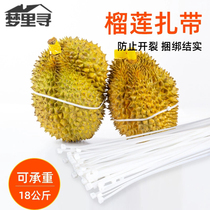 5*650 Durian cable tie nylon self-locking artifact fixing buckle strap plastic cable tie